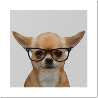 Portrait of Chihuahua with Nerd Glasses Posters and Art